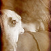 Mary Foltz Photo 21