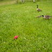 Bob Gunter Photo 22