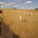 Michelle Custer Photo 35