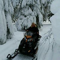 Heather Holm Photo 25