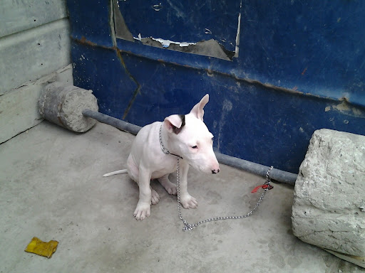 Joaquin Gonzalez Photo 19