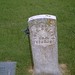 Thomas Briggs Photo 16