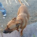 Marlon Mejia Photo 8