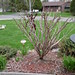 Jeannette Bush Photo 5