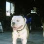 Robert Barfield Photo 40