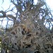 Ellen Root Photo 23