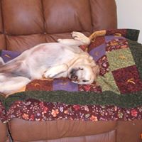 Gertrude Simpson Photo 2