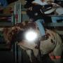 Curtis Nelson Photo 4