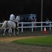 Amanda Briggs Photo 20