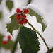 Holly Shiver Photo 10