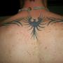 Scott Thacker Photo 44