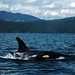 Lisa Stegall Photo 11