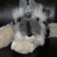 Alice Benner Photo 12