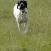 Linda Kindred Photo 19
