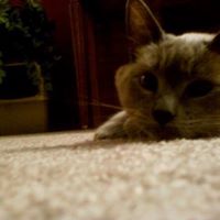 Beth Hendricks Photo 18