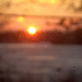Sharon Frost Photo 19