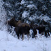 Douglas Hooper Photo 30
