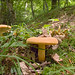 Bradley Sharp Photo 15