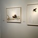 Joseph Bergeron Photo 33