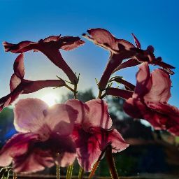 Andrea Schmitt Photo 34