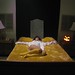 Micheal Sampson Photo 12