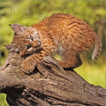 Michael Summers Photo 28