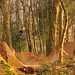 Danny Pace Photo 18