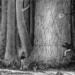 Charles Wilke Photo 11