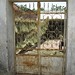 Duong Lam Photo 8