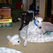 Chase Foster Photo 16