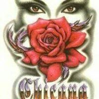 Debra Pacheco Photo 19