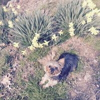 Debbie Colvin Photo 7