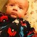 William Conroy Photo 25