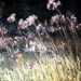 Daniel Colvin Photo 14
