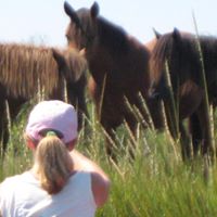 Judy Schaefer Photo 34