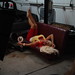 Rick Chappell Photo 26