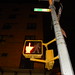 Randy Mayes Photo 33