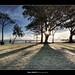 Nicholas Young Photo 23