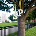 Scott Gorsuch Photo 10