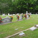 Debra Cobb Photo 26