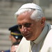 Joseph Pope Photo 14