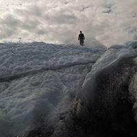 Wade Welsh Photo 7