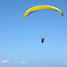 Alen Davidson Photo 6