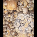 Martin Bone Photo 11