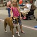 Judy Hanks Photo 20