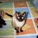 Melanie Smart Photo 16
