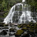 Bradley Nelson Photo 44