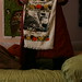 Walker Garrison Photo 7