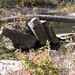 Allison Blanchard Photo 28