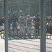 Albert Driver Photo 9